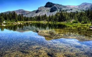 Mountain, forest, river, lake, Yosemite National Park wallpaper thumb