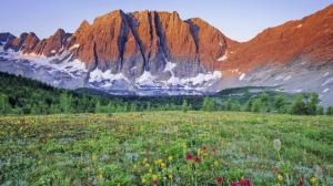 Stark Mountain Over A Flowery Meadow wallpaper thumb
