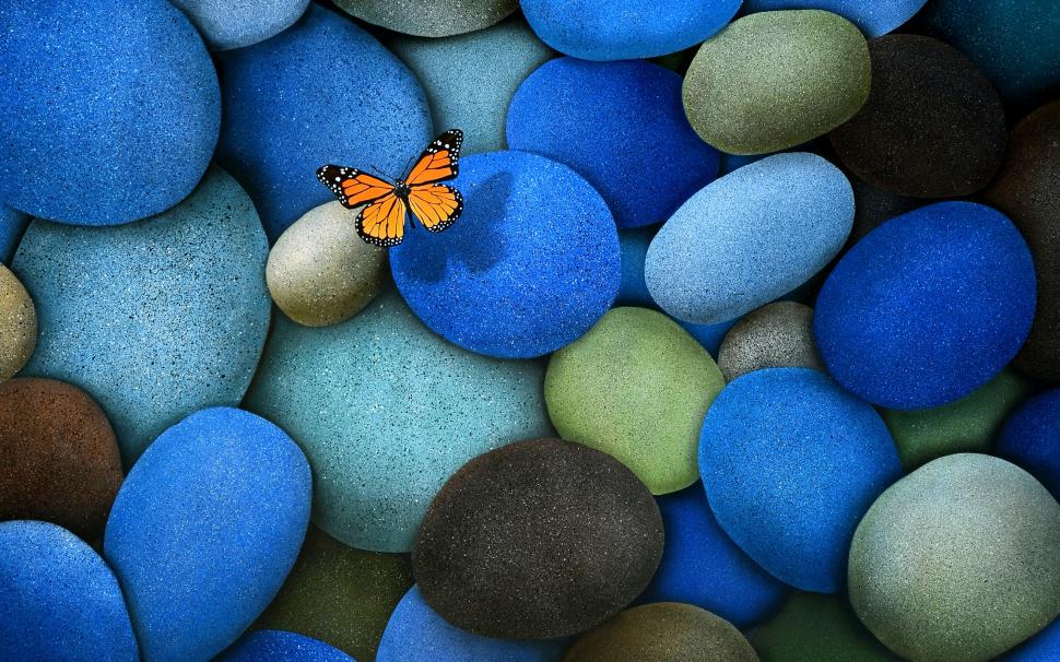 The blue cobblestone, butterfly wallpaper,Blue HD wallpaper,Cobblestone HD wallpaper,Butterfly HD wallpaper,2560x1600 wallpaper