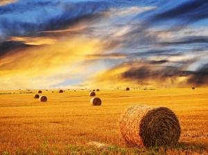 Farm Sunset  For Desktop wallpaper thumb