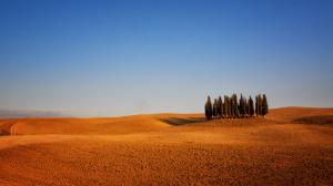Italy, Tuscany, arable land, trees, sky, dry weather wallpaper thumb