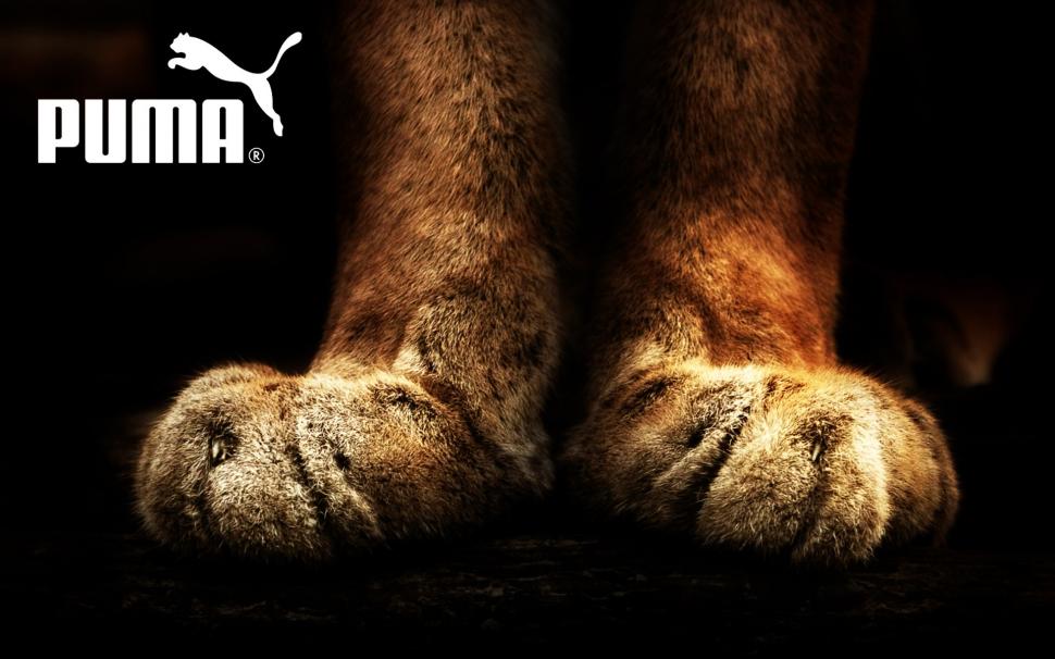 PUMA Logo wallpaper,clothes HD wallpaper,brand HD wallpaper,company HD wallpaper,background HD wallpaper,advertising HD wallpaper,poster HD wallpaper,1920x1200 wallpaper