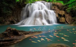 Waterfall With Fish  Image wallpaper thumb
