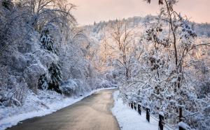 Thick snow winter, trees, road wallpaper thumb