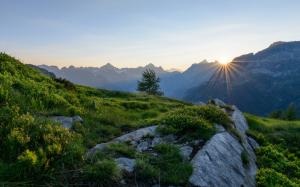 Alps, Switzerland, mountains, dawn, sunrise wallpaper thumb