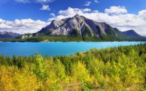 Abraham Lake, Banff Park, Alberta, Canada, sky, mountain, lake, trees wallpaper thumb