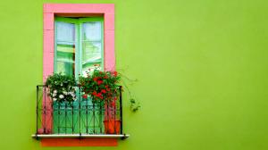Green Wall Window wallpaper thumb