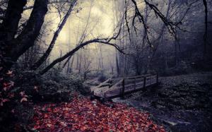 Autumn park, bridge, leaves, trees, stream wallpaper thumb