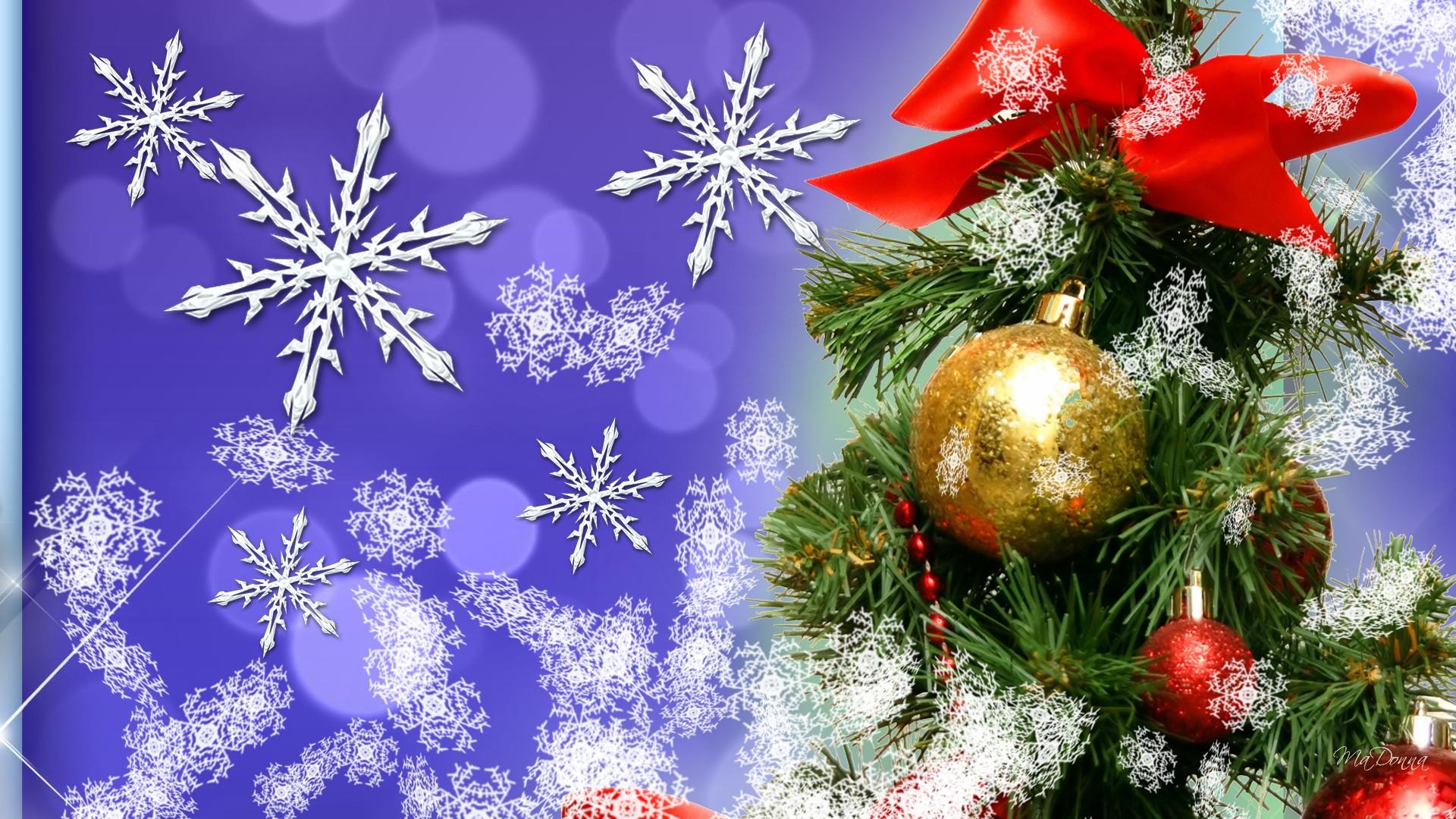 Christmas Bright wallpaper | nature and landscape | Wallpaper Better