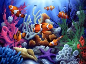 Colorful underwater coral and fish wallpaper thumb