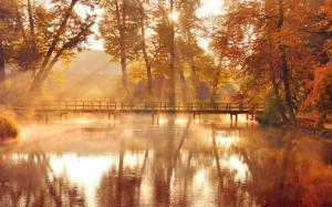 Nature, autumn trees, yellow, water reflection, wooden bridge, sunlight wallpaper thumb