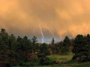 Lightning Storm Clouds Forest Tree HD wallpaper thumb