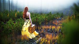 Women, Long Hair, Dress, Trees, Field, Suitcases, Bare Shoulders, Rear View wallpaper thumb