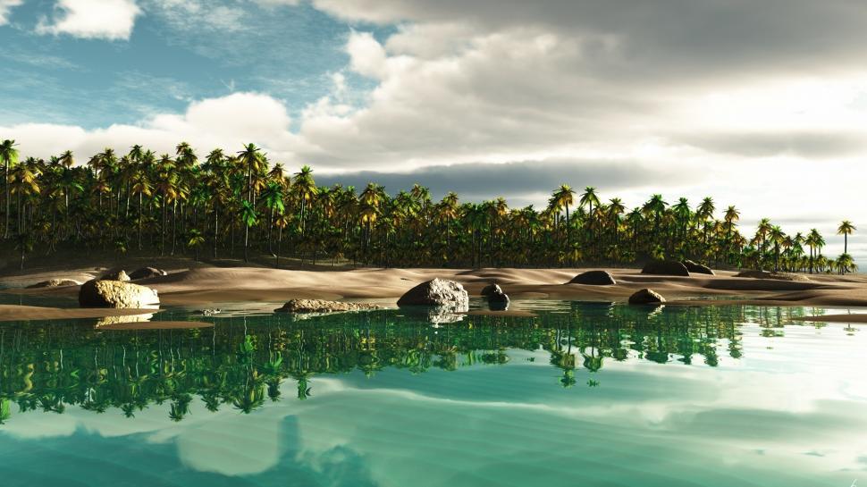 Tropical Island with Lots of Palm Trees wallpaper,Scenery HD wallpaper,1920x1080 wallpaper