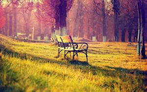 Benches in Park wallpaper thumb
