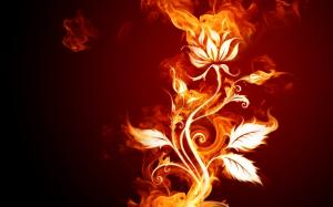 flames rose hd wallpaper abstract wallpaper thumb