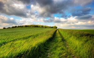 Summer fields, green, road, cloudy sky, endless wallpaper thumb
