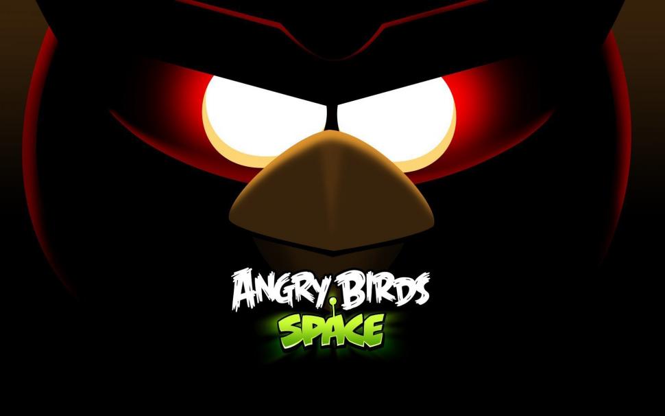 Angry Birds Space wallpaper,birds HD wallpaper,funny HD wallpaper,colors HD wallpaper,comedy HD wallpaper,1920x1200 wallpaper