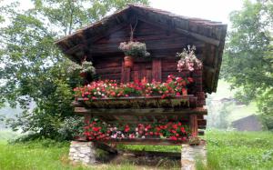 Small cabin with flowers wallpaper thumb