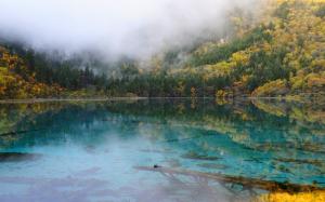 Lake, Mountain, Forest, Mist, Clear Water, Landscape, Nature wallpaper thumb