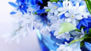 blue and white flowers gallery hd wallpaper thumb