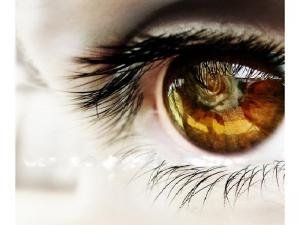 in the eye of beholder Abstract photogragh rose HD wallpaper thumb
