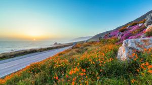 Evening, sunset, road, orange flowers, poppies, rocks, sea, mountains wallpaper thumb