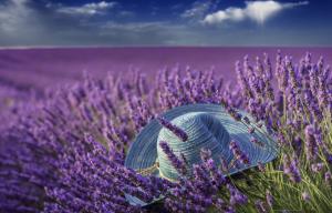 Summer, lavender hat wallpaper thumb