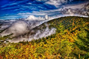 Mountains, forest, autumn wallpaper thumb