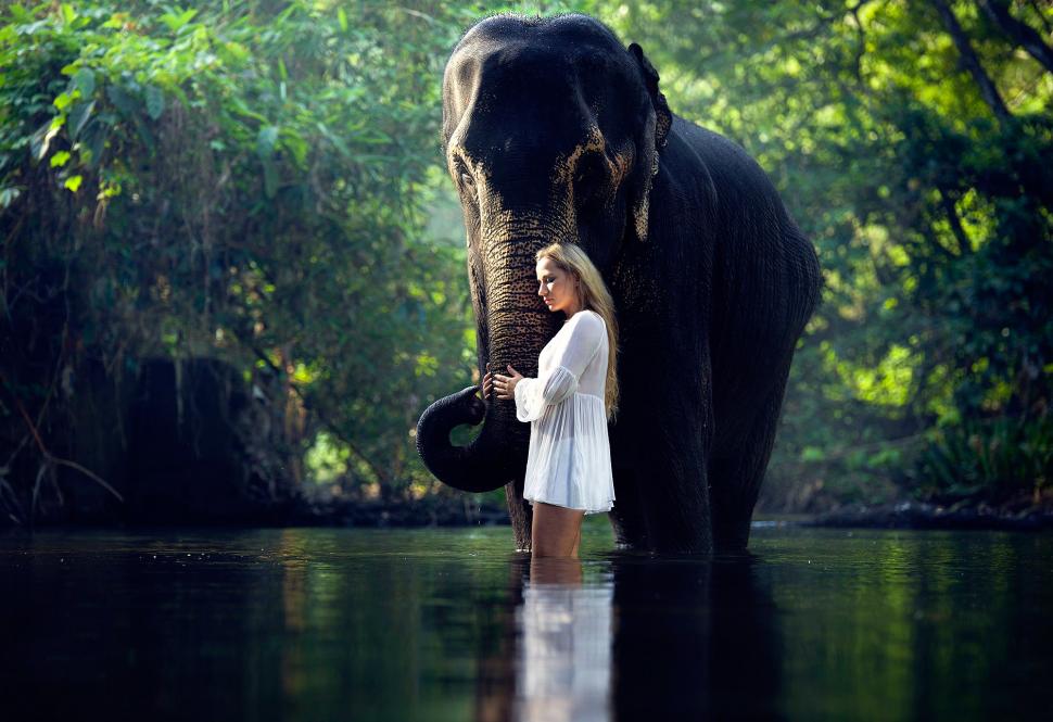 Girl in water with elephant wallpaper,The Serene HD wallpaper,a girl in the water HD wallpaper,the elephant HD wallpaper,2000x1373 wallpaper