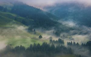 Nature, Landscape, Morning, Mist, Mountain, Forest, Cabin wallpaper thumb