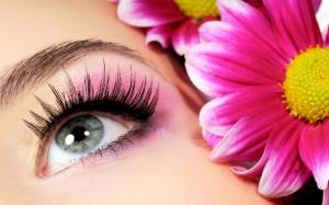 beautiful eye makeip flowers wallpaper hd wallpaper thumb