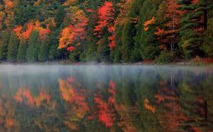 Autumn nature, forest, river, reflection, mist wallpaper thumb