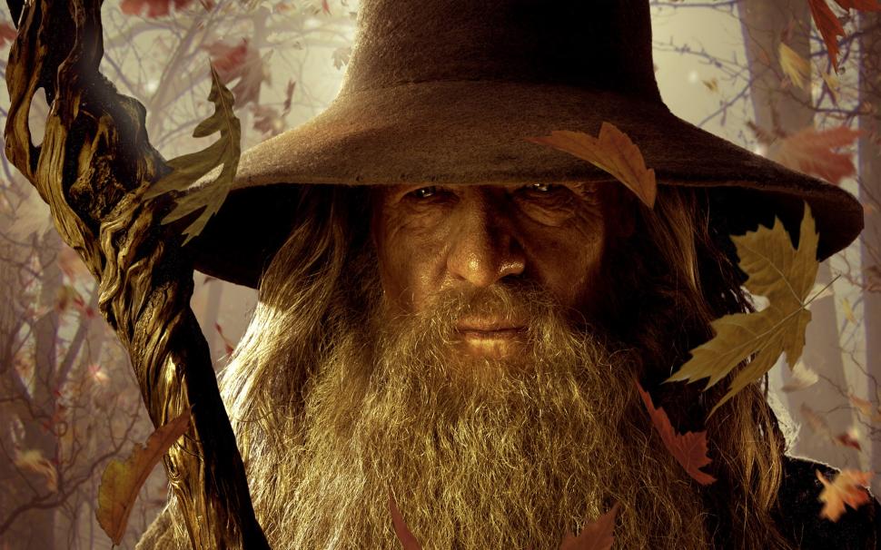 The Lord of the Rings, Fall, Leaves, Gandalf, Wizard, Ian McKellen wallpaper,the lord of the rings HD wallpaper,fall HD wallpaper,leaves HD wallpaper,gandalf HD wallpaper,wizard HD wallpaper,ian mckellen HD wallpaper,1920x1200 wallpaper