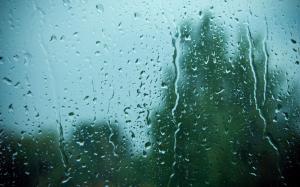 Raindrops on the window wallpaper thumb