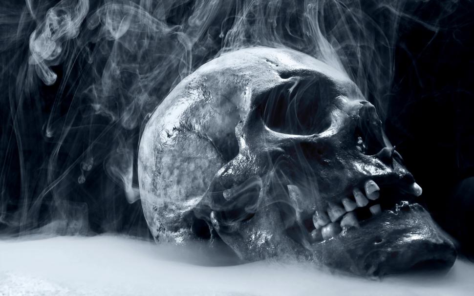 Skull Smoking wallpaper,head HD wallpaper,dead HD wallpaper,2560x1600 wallpaper