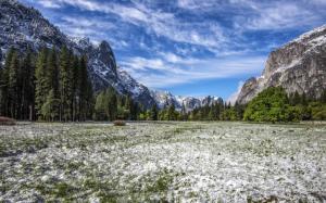 Yosemite Valley, California, USA, mountains, trees, snow, blue sky wallpaper thumb