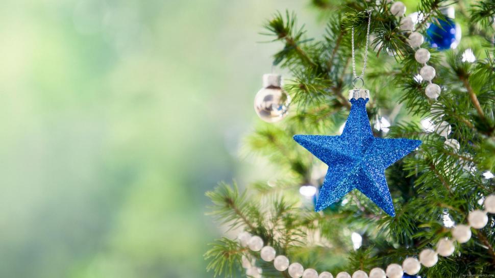 Christmas tree with a blu star wallpaper,christmas HD wallpaper,tree HD wallpaper,holidays HD wallpaper,star HD wallpaper,green HD wallpaper,1920x1080 wallpaper