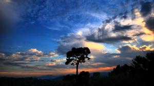 Tree Clouds Silhouette HD wallpaper thumb