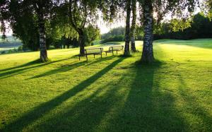 Bench Sunlight Shadow Trees Grass Golf Course HD wallpaper thumb