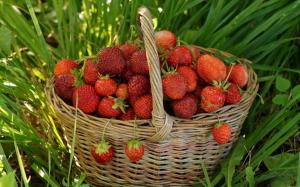 Basket of strawberries wallpaper thumb