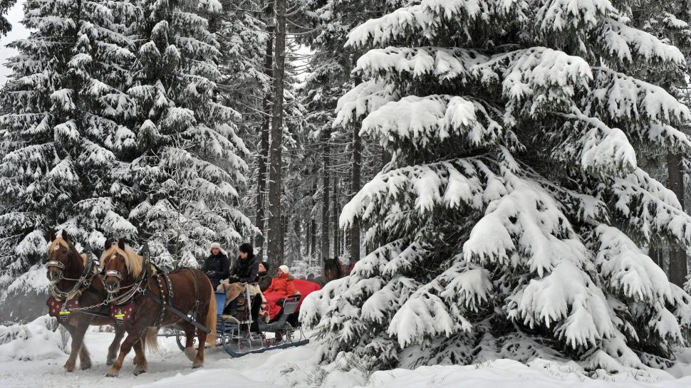 Horse Drawn Carriages In German Winter Forest wallpaper,forest HD wallpaper,horses HD wallpaper,winter HD wallpaper,carriages HD wallpaper,riders HD wallpaper,animals HD wallpaper,1920x1080 wallpaper