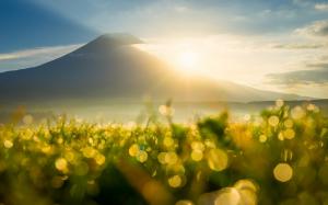 Mountain, sun rays, sunrise, grass, dew, flare, bokeh wallpaper thumb