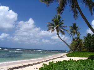 Beautiful Beach On St. Croix Usvi wallpaper thumb