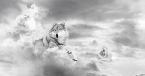 Wolf In The Clouds wallpaper thumb