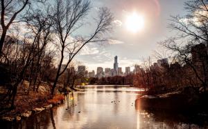 Afternoon sun, city, buildings, river, trees wallpaper thumb