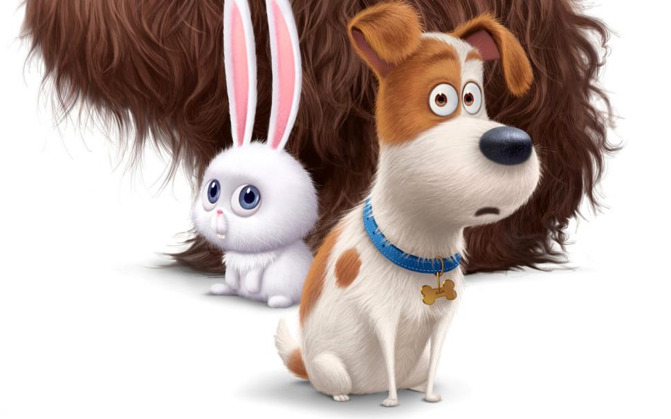 The Secret Life of Pets, Movie, 2016, dog, hare, cute, cartoon wallpaper,the secret life of pets HD wallpaper,movie HD wallpaper,2016 HD wallpaper,dog HD wallpaper,hare HD wallpaper,cute HD wallpaper,cartoon HD wallpaper,1920x1200 wallpaper