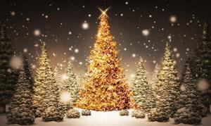 new year, christmas, trees, wood, card, snow, night, holiday wallpaper thumb