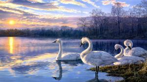 Art painting swan lake sunset landscape wallpaper thumb