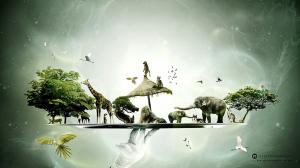 Creative design pictures, hand hold up a dish of animals wallpaper thumb